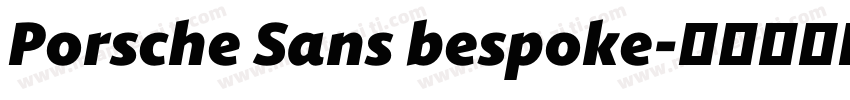Porsche Sans bespoke字体转换